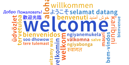 Benvenuto sul nostro ecommerce